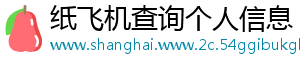 纸飞机查询个人信息